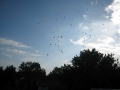 web_IMG_1905