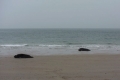 web_IMG_3480
