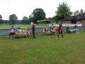 web_P1000791