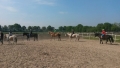 web_20160519_104128