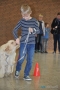web_2402 Therapiehund Happy (4)