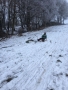 IMG-20170118-WA0019