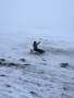 IMG-20170118-WA0020