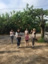 20180530_anSchuB_Huehner_10
